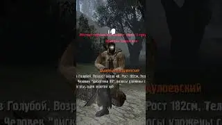 Сырная слякоть  