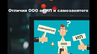 Отличия ООО от ИП или самозанятого что лучше