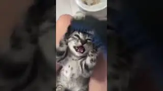 heheheh