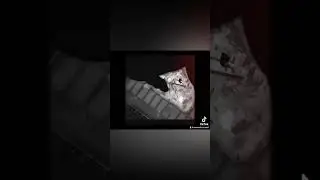 Spider-man the game
