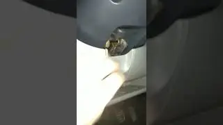 Как подключить сканер к Opel Vivaro?