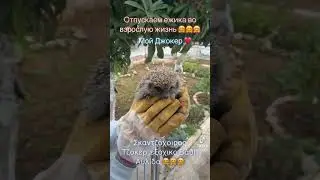 20 января 2024 г.