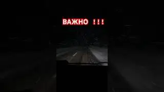 Совет водителям!!! Животные на дороге…
