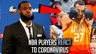 NBA Players React To The NBA Suspending The Season!