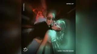 BASSTON - Now You’re Gone (Sped Up)