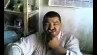 Esel Araber