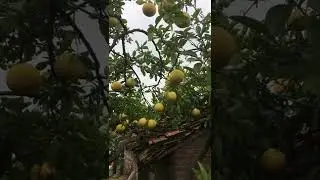 ngày 19 tháng 11, 2022