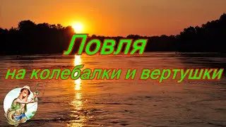 Ловля хищника. Колеблющиеся блёсна, вертушки
