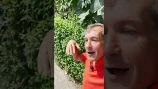 Почему Марин Ле Пен проиграла на выборах во Франции [18+]