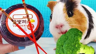 ЕДА ИЗ РАЗНЫХ СТРАН ЗАБАВНЫЙ ЧЕЛЛЕНДЖ ! СВИНКА БУЗЯ ПРОБУЕТ КОРЕЙСКУЮ ЕДУ