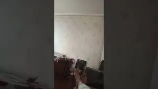 Восстановление печени!