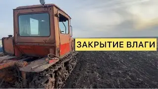 ЗАКРЫТИЕ ВЛАГИ | 2024
