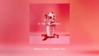 Wildways & Mary Gu — Я тебя тоже (Lyric Video)