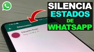 Como DESACTIVAR o SILENCIAR estados de WhatsApp de un contacto