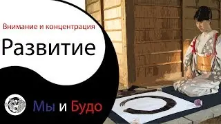 Развитие внимания и развитие концентрации 