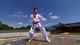 TAEKWONDO criado por guerreiros