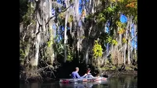 Living in Ocala, Florida