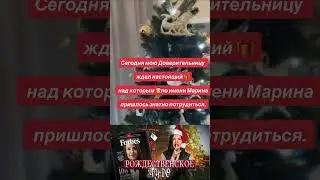 Рождественское чудо 