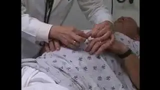 Physical Examination #6 (ASMR)