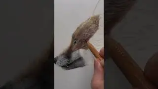 Drawing Textured Fur with Coloured Pencils 🦊 #bonnysnowdonacademy #realisticdrawing #animalartist