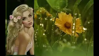 Мимоходом
