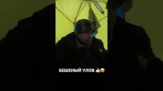 БЕШЕНЫЙ УЛОВ #рыбалка #река #поклевка #тайга #зима #подсечка #лунка #зимняяудочка #хариус #язь