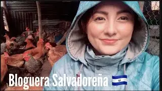De Esta Manera Reciben El Inviernos Las Gallinas - 😬  😲