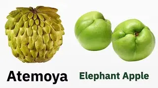 Names Of 50 Fruits In English With Pictures For Kids : 50 फलों के नाम : #kidssong