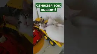 Маиза,Марта и самосвал 