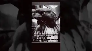 _не рассказывай временым людям.)