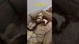 и так каждый день😅 