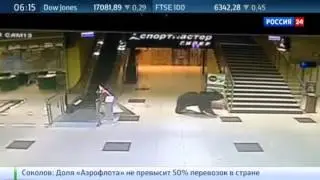 Медведь  в торговом центре Хабаровска