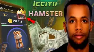 HAMSTER KOMBAT in Ethiopia: Increase Profits Per Hour! | Iccitii Hamster Kombat in Afaan Oromoo