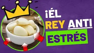 16 Alimentos Que Ayudan a COMBATIR el ESTRES