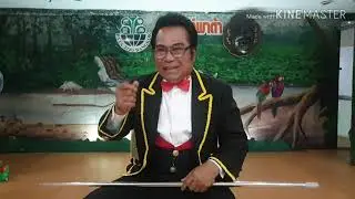พาต้าในความทรงจำ