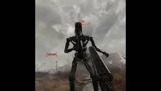 T 800
