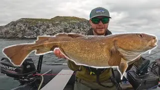 Massive Cod, Snapped Rod & Unexpected Attack!