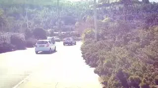 Библейский зоопарк в Иерусалиме