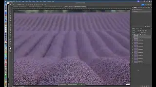 Focus stacking your photos with Loren Fisher