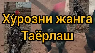 парвозлар учин