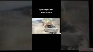 Бежит 