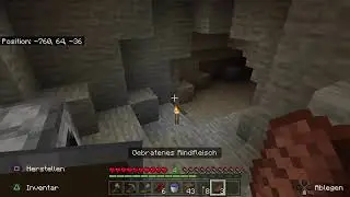 Minecraft survival
