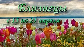 Близнецы Таро прогноз на неделю с 15 по 21 апреля 2024 года.