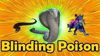 Guardian Cobra Blinding Poison Team - Meta PvP Pet Battles