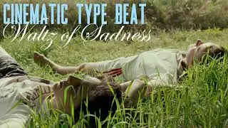 [SOLD] Cinematic type beat - Waltz of Sadness [Lana Del Rey, Sufjan Stevens mood]