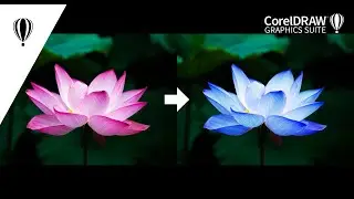 CorelDRAW tutorial - how to change color in photo/bitmap image 
