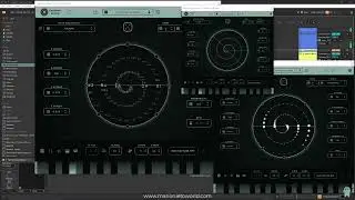Harmony Bloom - new Update 1.1.8