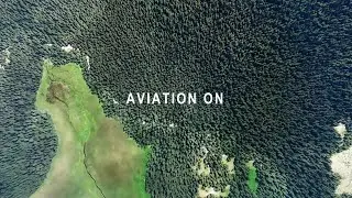 𝗔𝘃𝗶𝗮𝘁𝗼𝗿𝘀 𝗬𝗲𝗮𝗿 𝟮𝟬𝟮𝟬 // Aviation 𝗢𝗡 // X-Plane 11 , FSX , MFS 2020, Plane spotting // 2020 Trailer
