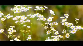 GH2 Video Sample
