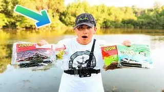FAN Picks My Lures Fishing Challenge (Walmart)